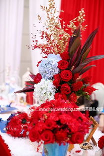 海芋婚礼 苏州婚庆礼仪服务的专业选择