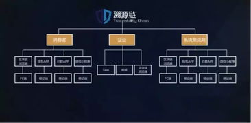 500万美元A轮融资背后的商业蓝图 TAC溯源链与信息系统集成服务的深度融合